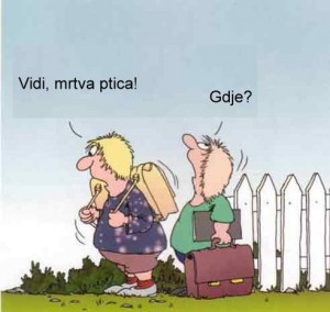 Bosanci na izletu.
