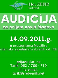 Audicija plakat