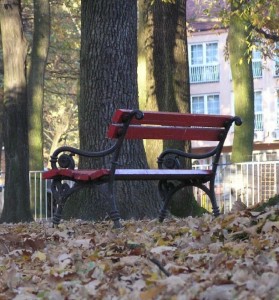Jesen u Srebreniku, foto by Svjetlan Bešić