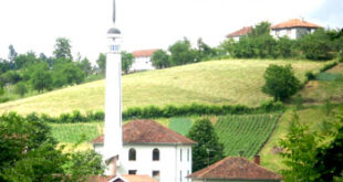 Džamija džemata Lušnica u Srebreniku