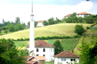 Džamija džemata Lušnica u Srebreniku