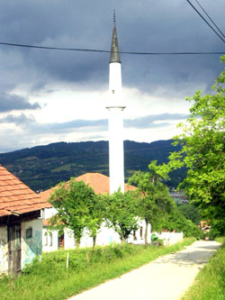 Džamija džemata Tutnjevac