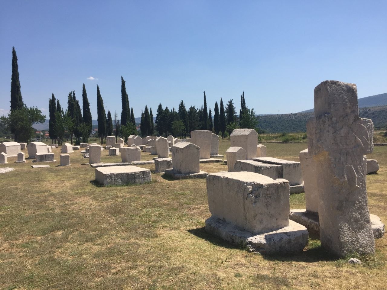 Stećci na nekropoli Radimlja