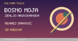 Originalna ilustracija izložbe Mehmeda Imamovića u Tuzli.