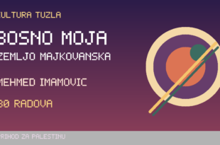 Originalna ilustracija izložbe Mehmeda Imamovića u Tuzli.
