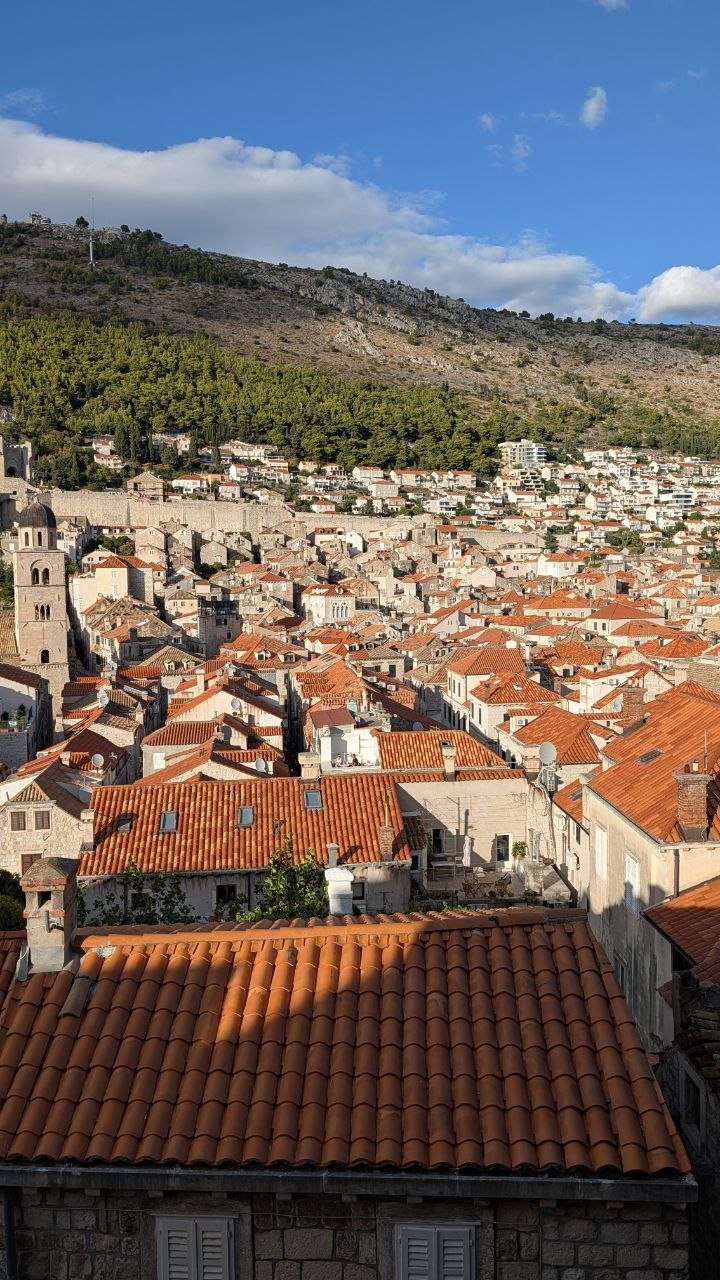Pogled s dubrovačkih visina na krovove grada i zeleno brdo.