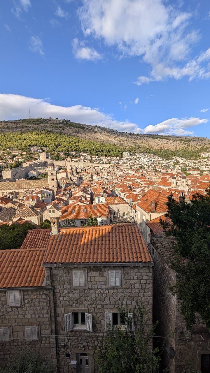 Panorama crvenih krovova Dubrovnika i zelenih padina iznad grada.