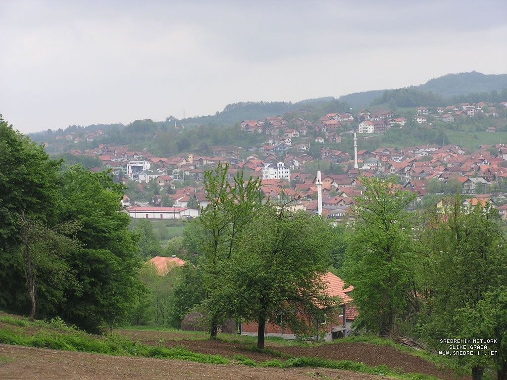 Pogled na naselje s kućama, zelenilom i munarama u Srebreniku.