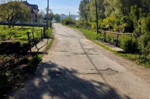 Oštećena asfaltna cesta s pukotinama i zakrpama između kuća i zelenila